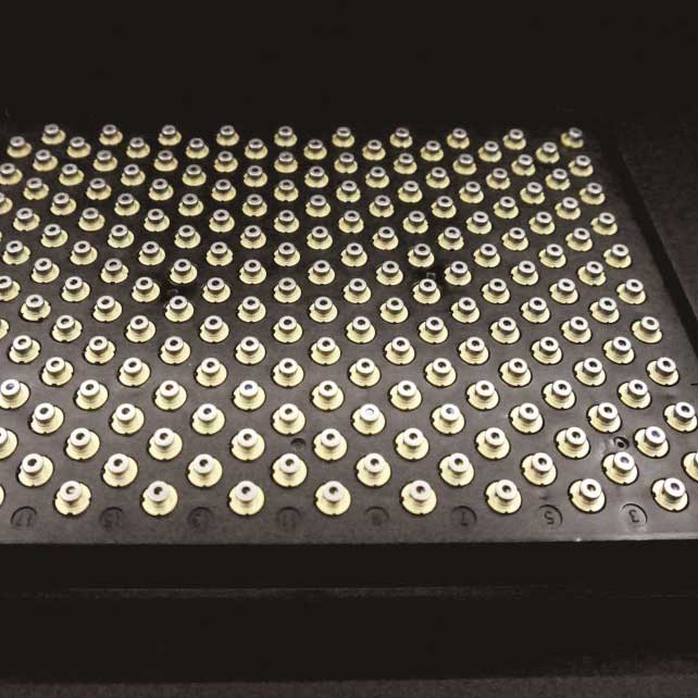 405nm 200mW Semiconductor Blue-violet 레이저 소스 NCV4542VFR Nichia LD 레이저 다이오드 - Click Image to Close